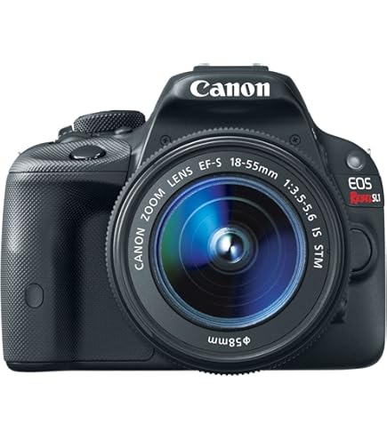 Amazon.com : Canon EOS Rebel SL1 Digital SLR with 18-55mm STM + 75